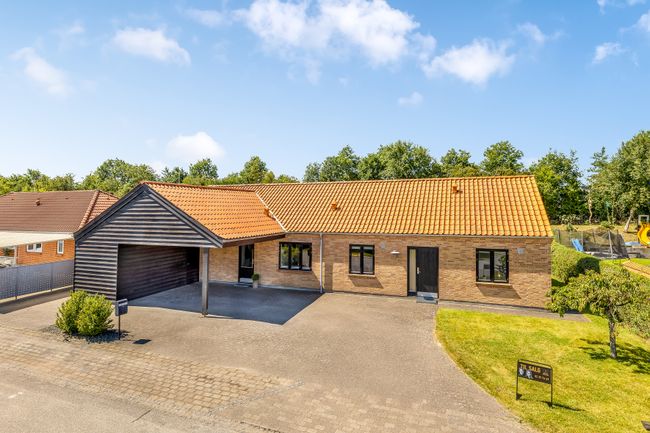 Koustrupparken 23, Lind